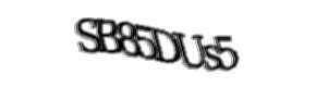 Security check image, please type the characters shown